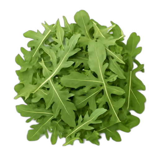 Baby Arugula